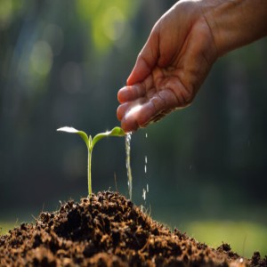 Agriculture