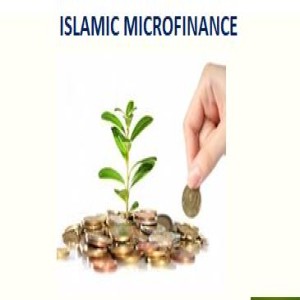 Islamic Microfinance
