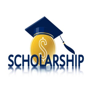 Students scholarships