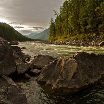 Lyric